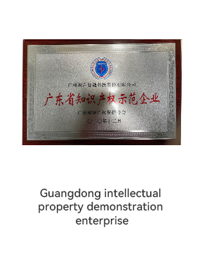 Guangdong intellectual property demonstration enterprise