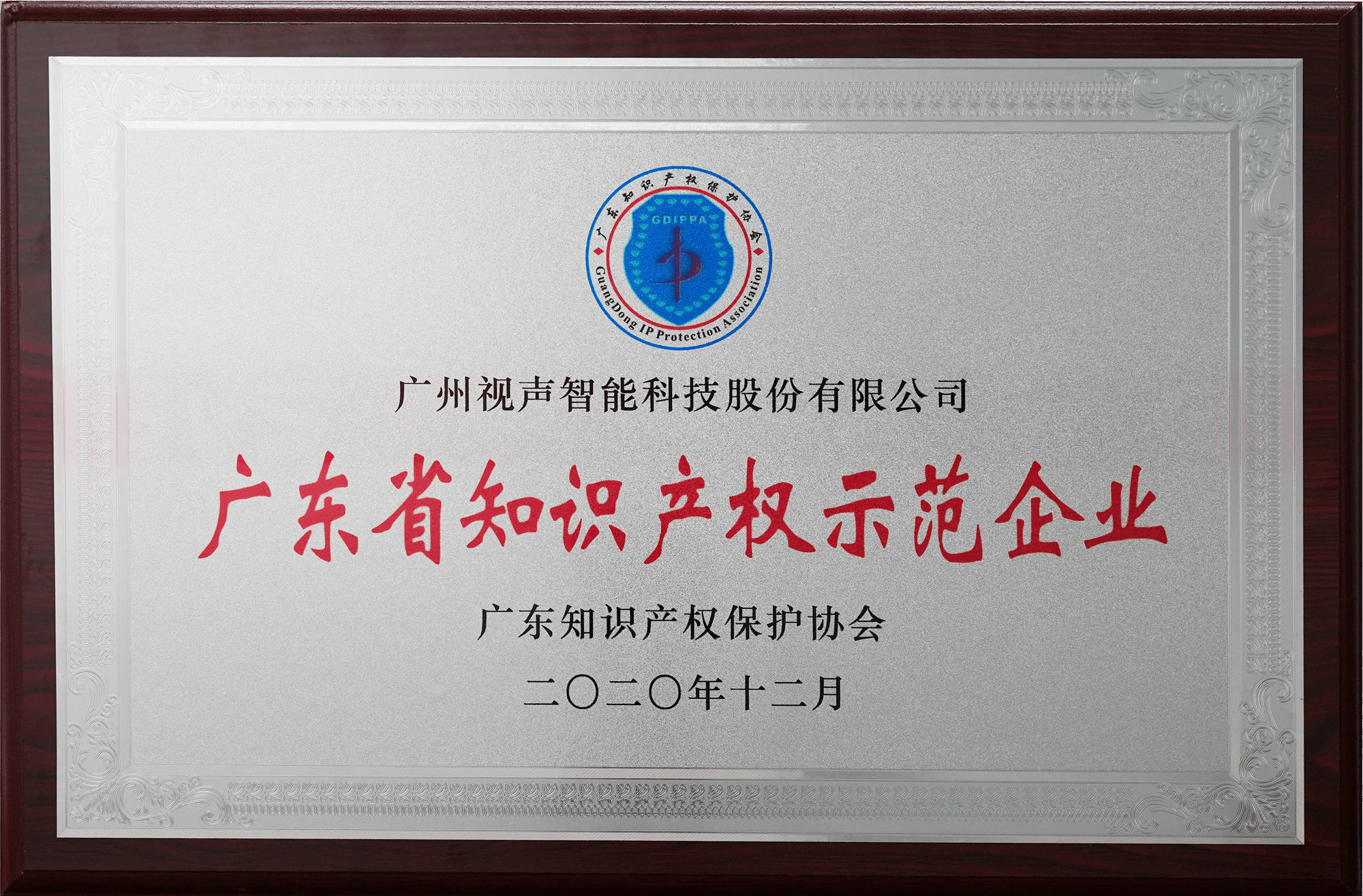 广东省知识产权示范企业